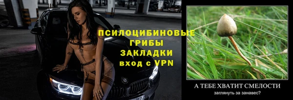 прущий лед Абаза